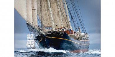 Logo von P & T Charters, Gulden Leeuw