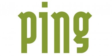 Logo von Ping Rechenzentrumsreinigung GmbH