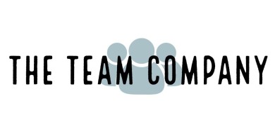 Logo von The Team Company - Löser/Göttsch GbR