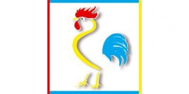 Logo der Messe Deutsche Junggeflügelshow 2015
