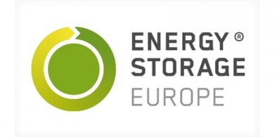 Logo der Messe Energy Storage