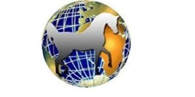 Logo der Messe All Nations Cup