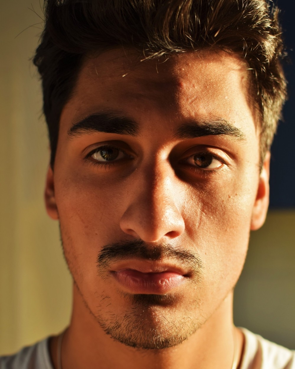 Profilbild von Maxim
