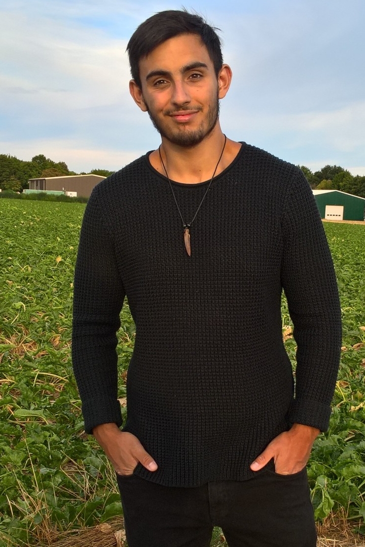 Weiteres Foto von Raphael