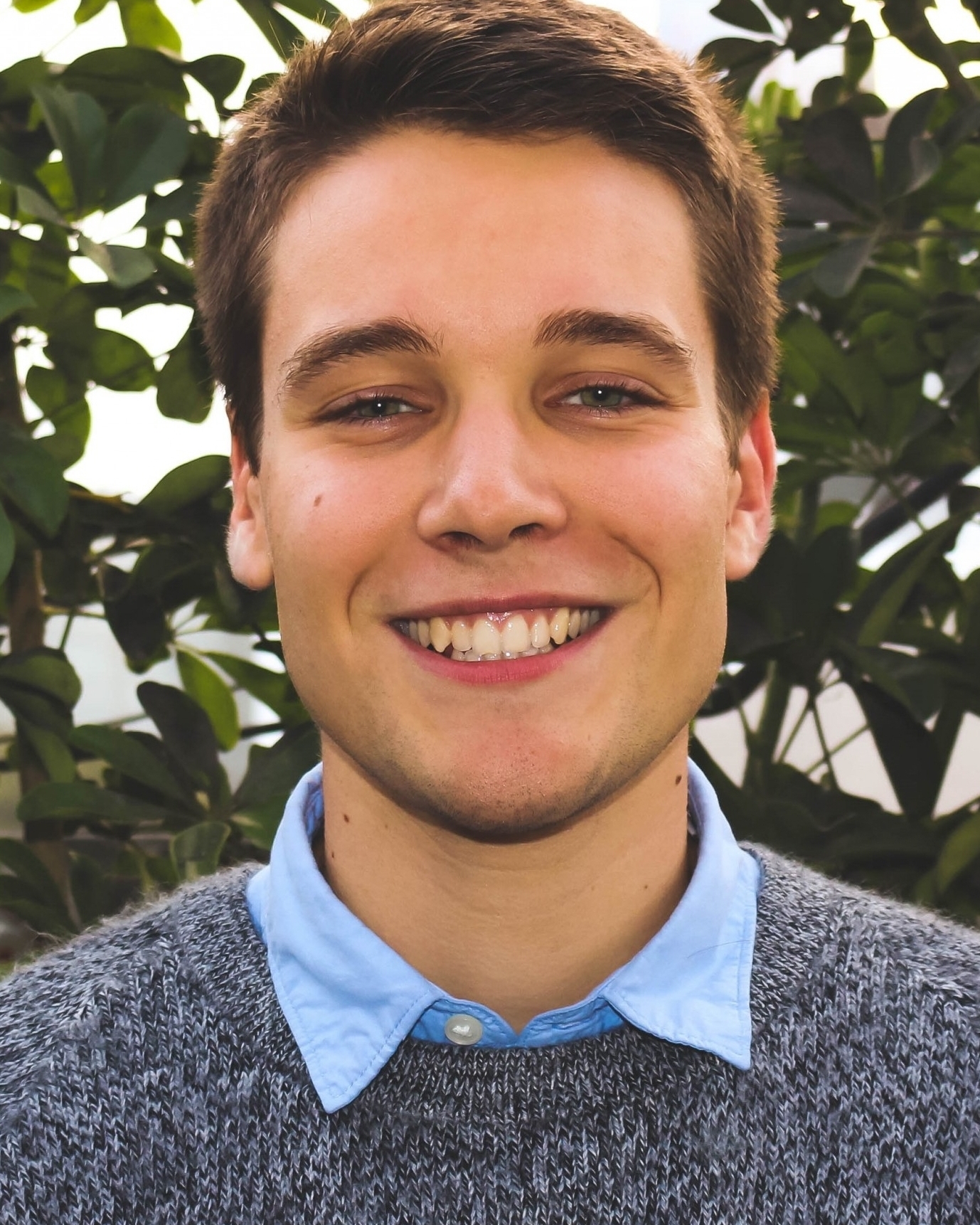 Profilbild von Martin Rainer