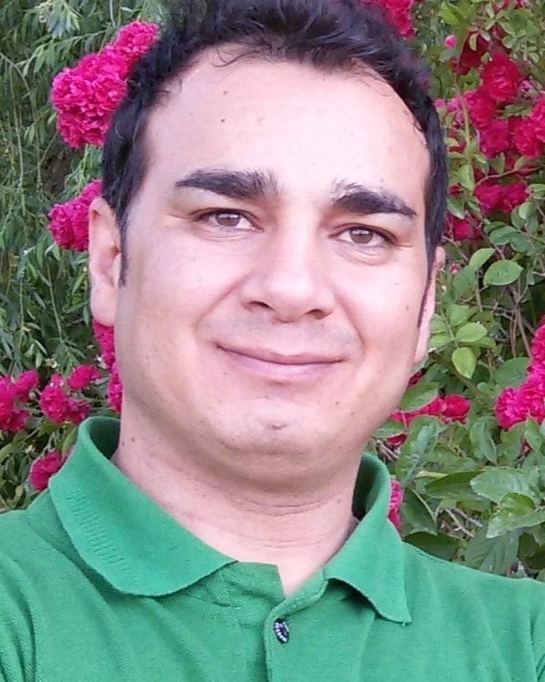 Profilbild von Sayed Mohammad