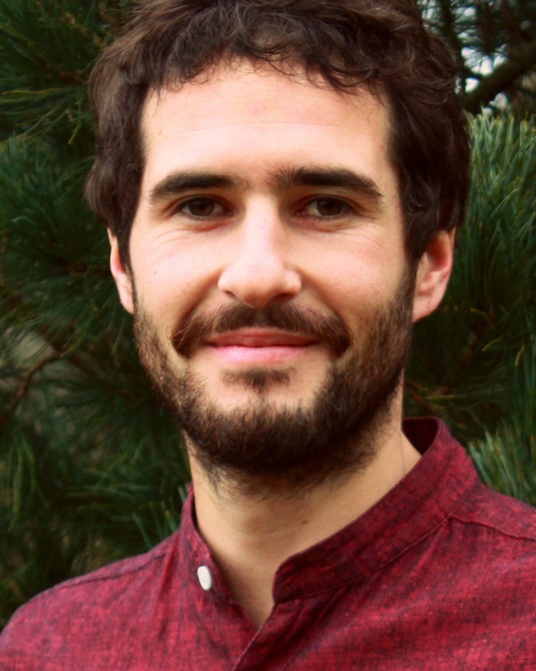Profilbild von Markus