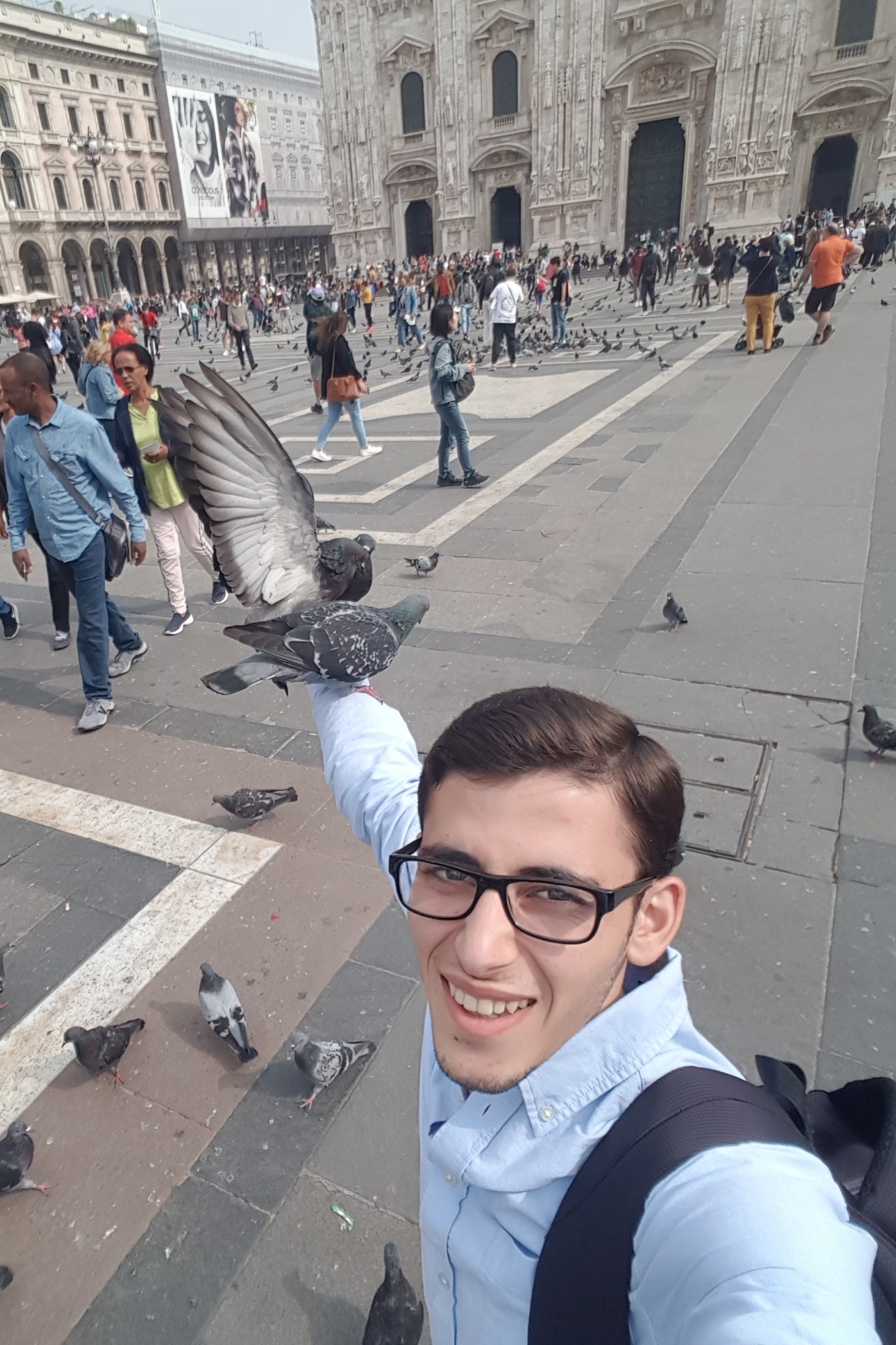 Weiteres Foto von Anas