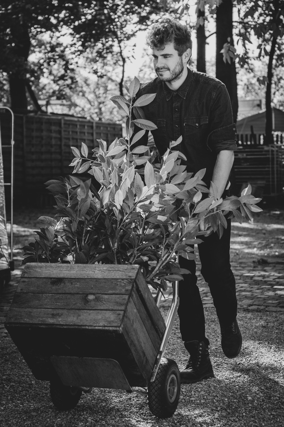 Weiteres Foto von Timotheus A.