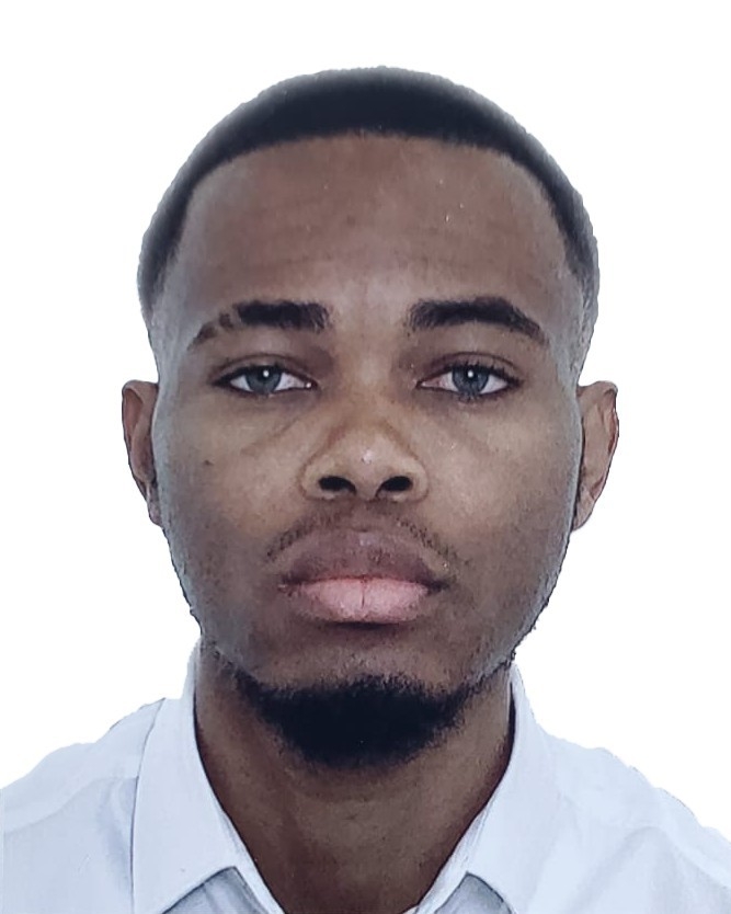 Profilbild von Henry Michel