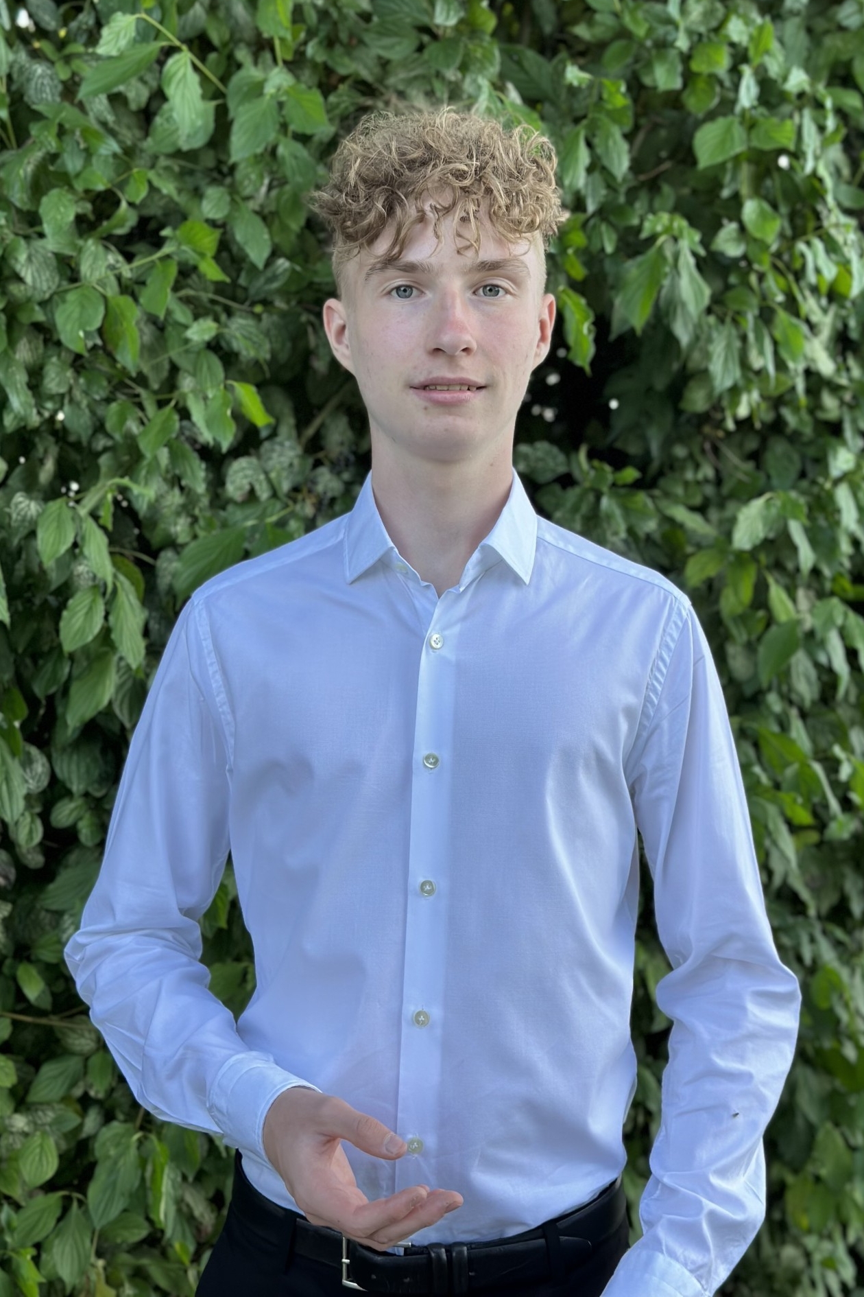 Weiteres Foto von Vincent