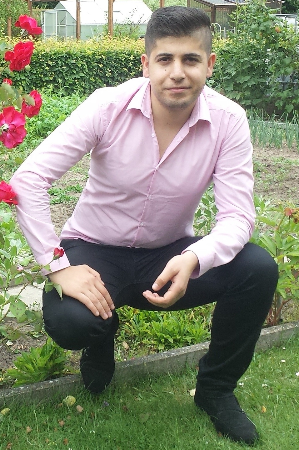 Weiteres Foto von Aras