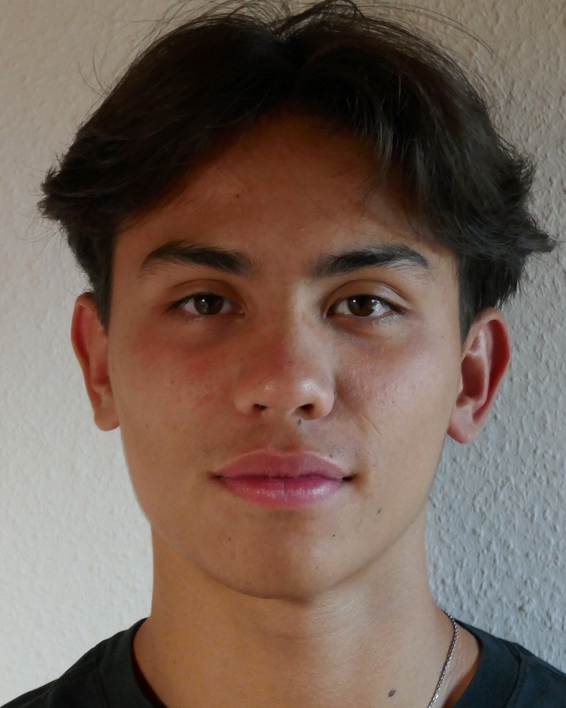 Profilbild von Theoderich