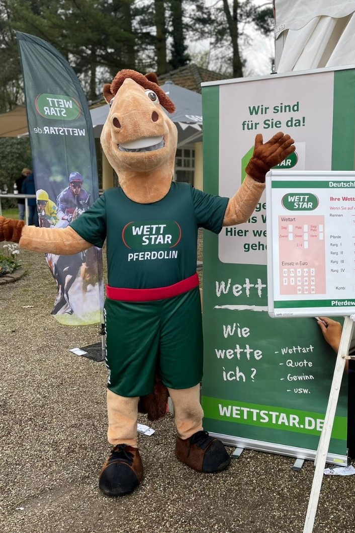Weiteres Foto von Robin