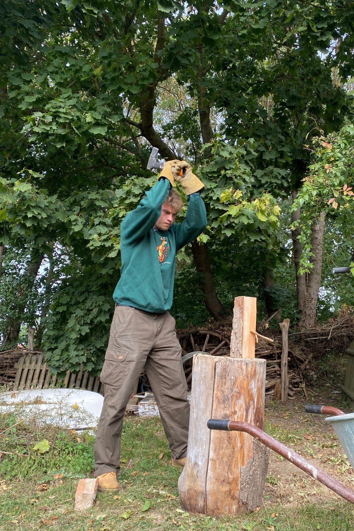 Weiteres Foto von Kester