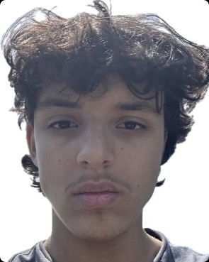 Profilbild von Anes-Amir