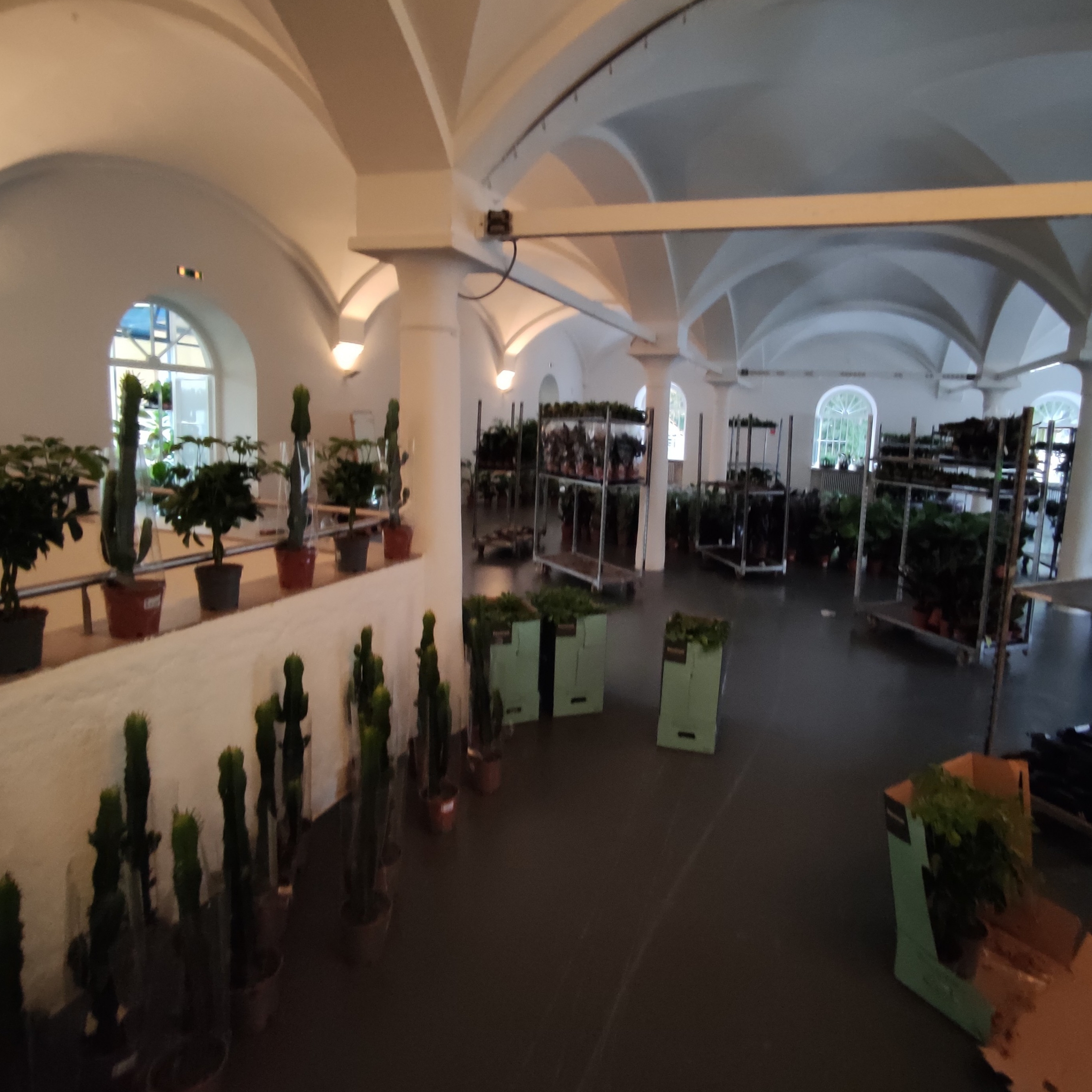 Fabian Alexander bei der Arbeit