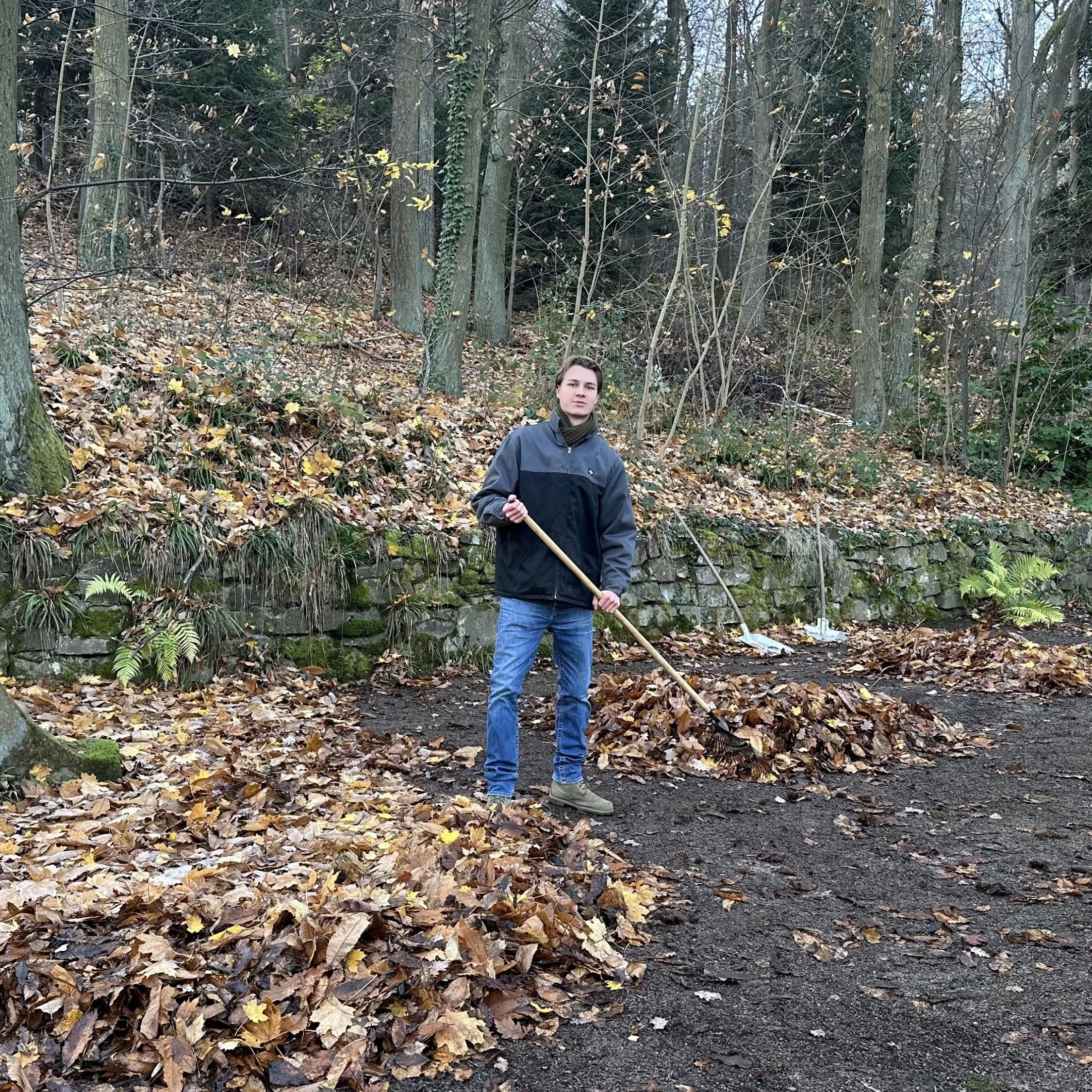Leo bei der Arbeit