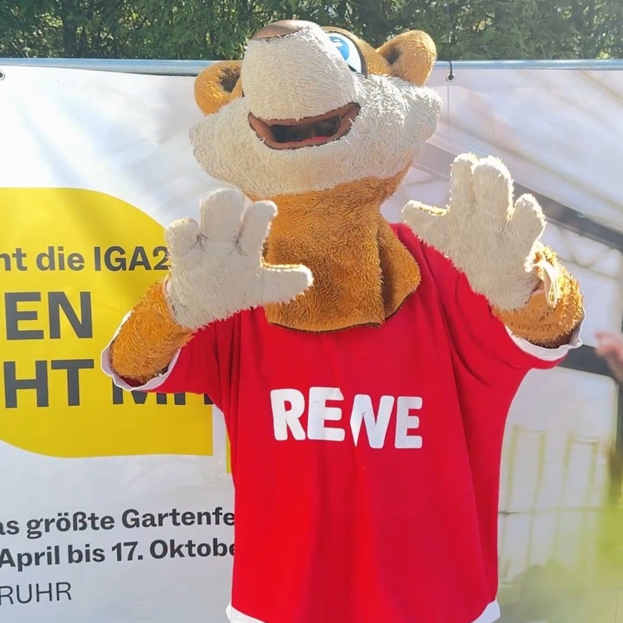 Mitarbeiter im Einsatz