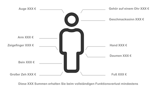 Darstellung der Gliedertaxe